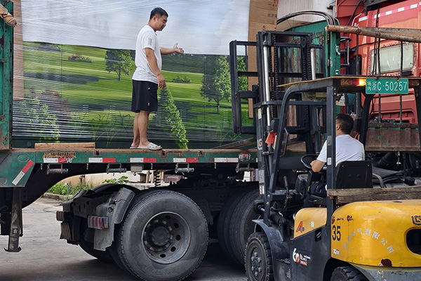 ໂຄງການຕາຂ່າຍໄຟຟ້າຂອງລັດ Henan 2025 ສໍາເລັດແລ້ວ